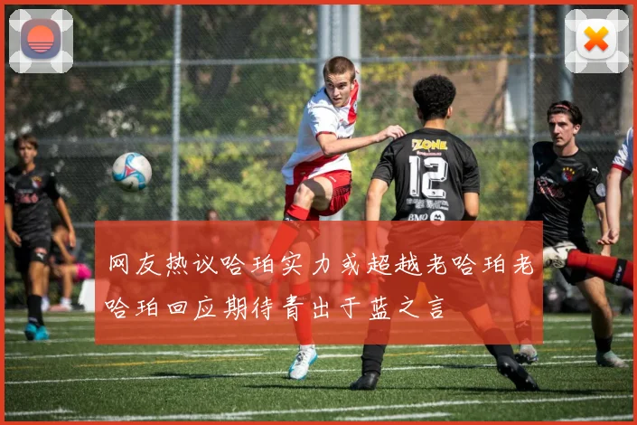 网友热议哈珀实力或超越老哈珀老哈珀回应期待青出于蓝之言