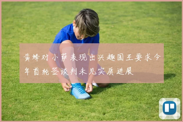 黄蜂对小萨表现出兴趣国王要求今年首轮签谈判未见实质进展